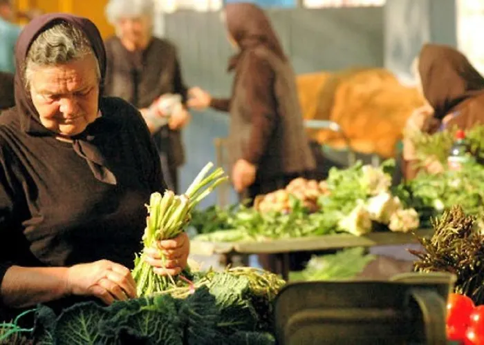 Apartament Olive Tree