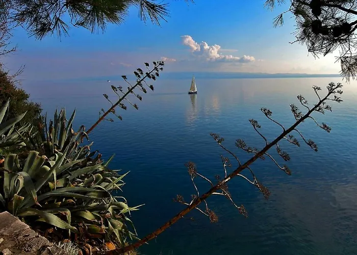 Olive Tree Apartament