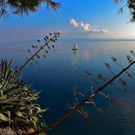 Olive Tree Apartman