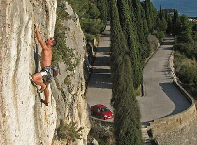 Olive Tree Apartment Split