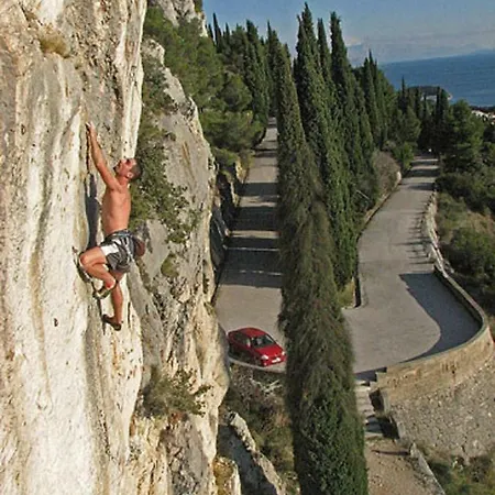 Olive Tree Lägenhet Split